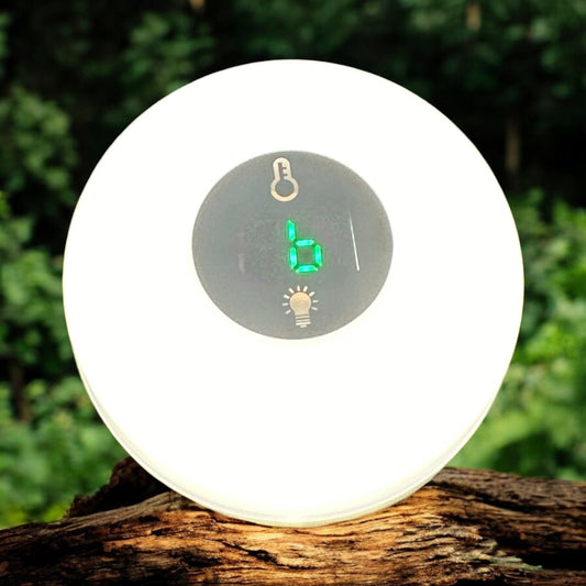 20 Ounce Lantern Tumbler